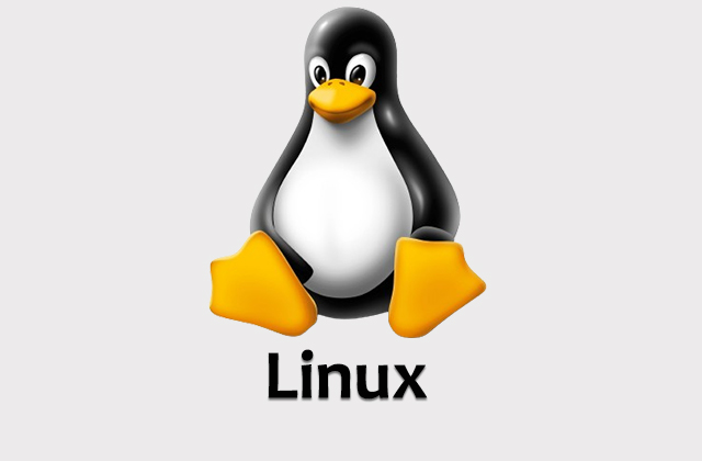 LINUX